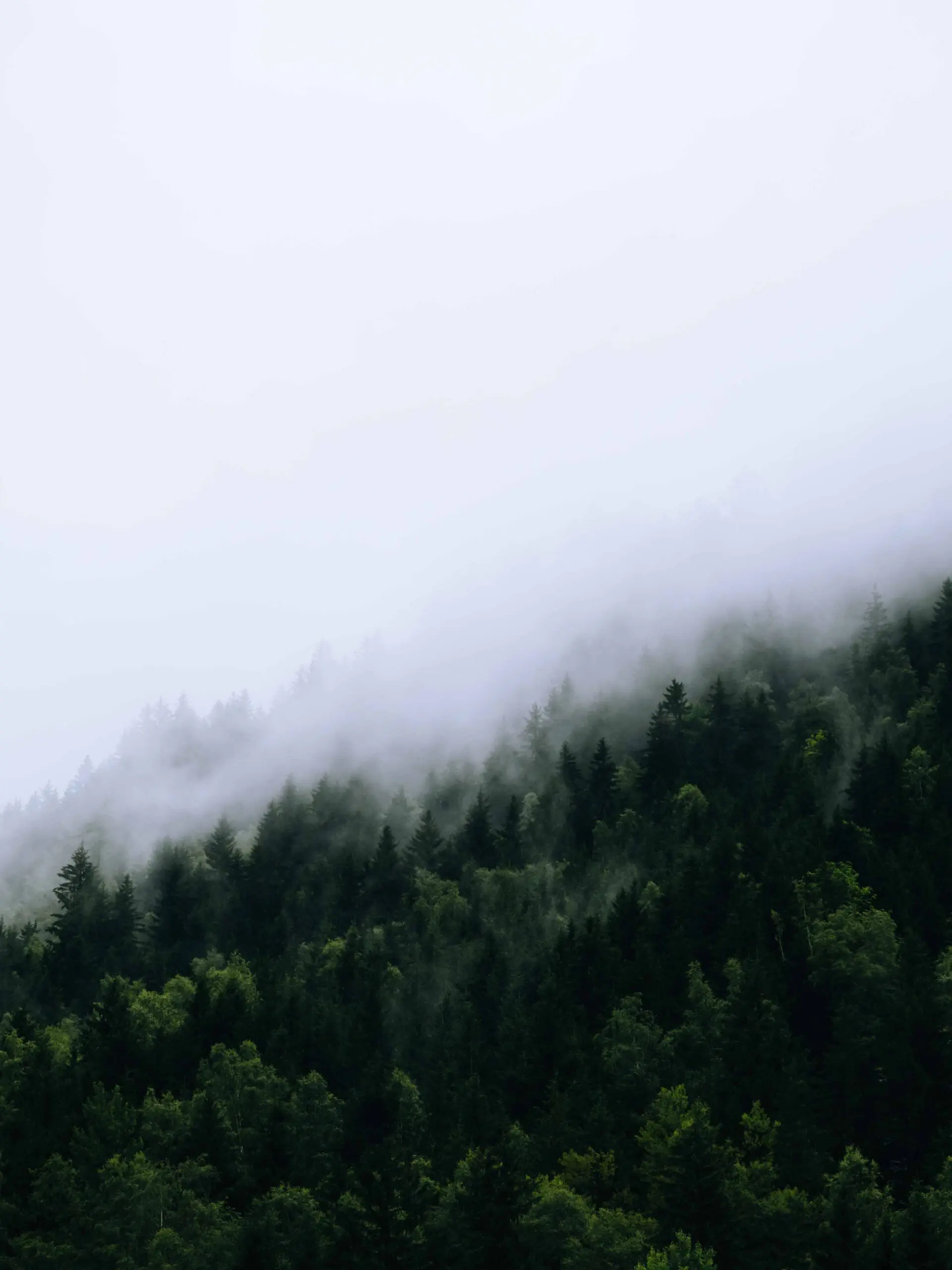 The Mont Blanc Trail - tour du mont blanc