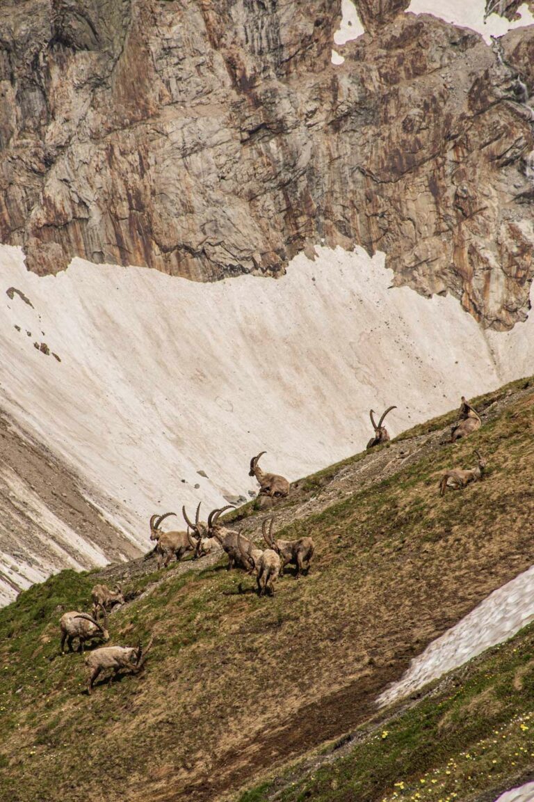 Mont Blanc Rundtour